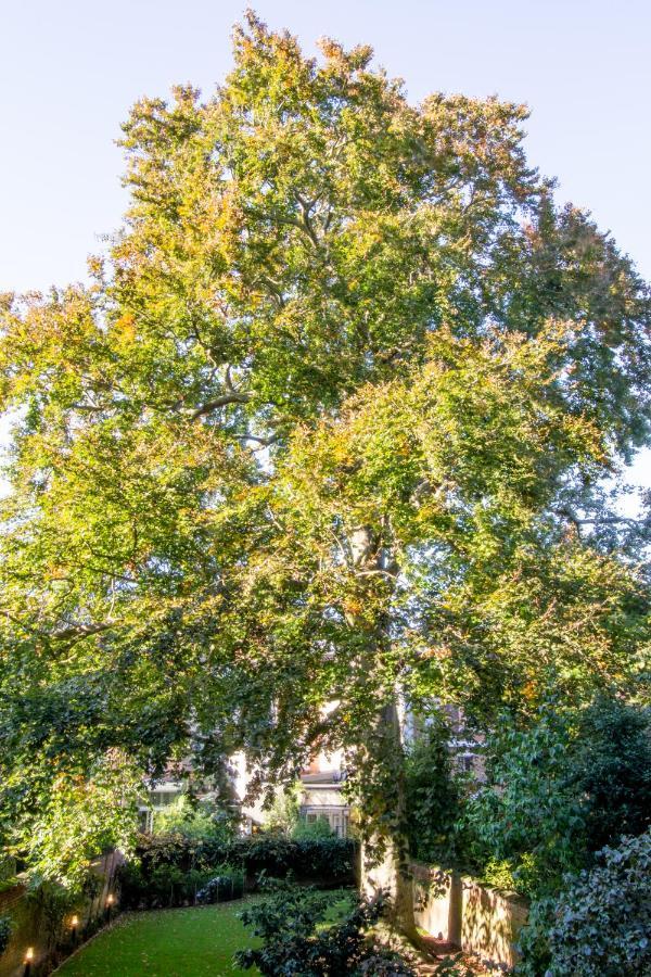 The Old Beech Antuérpia Exterior foto